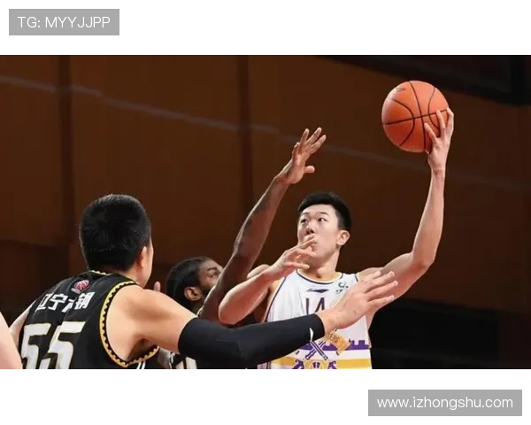 辽宁失误致命惜败浙江 篮板保护成隐患
